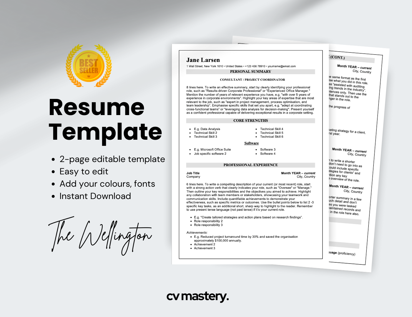 ATS Friendly Resume Template, The Wellington